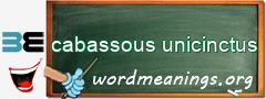 WordMeaning blackboard for cabassous unicinctus